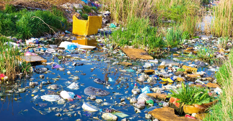 Pollution de l'eau : 5 conséquences sur la santé et l'environnement ...